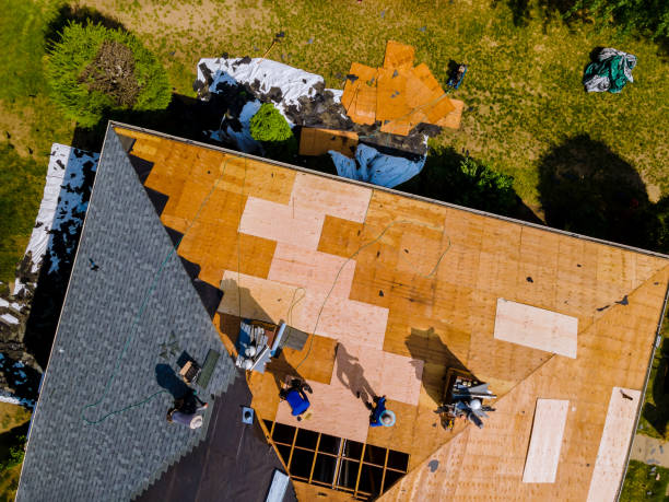 Roof Gutter Cleaning in Tularosa, NM
